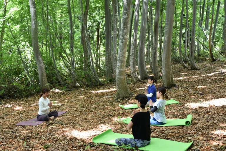 Group of people practicing yoga outdoors on mats in a forest clearing surrounded by tall trees.